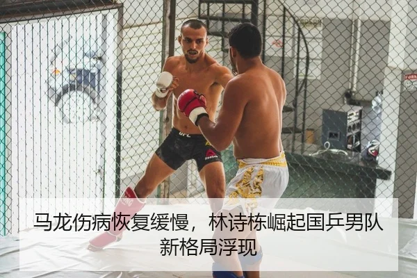 马龙伤病恢复缓慢，林诗栋崛起国乒男队新格局浮现